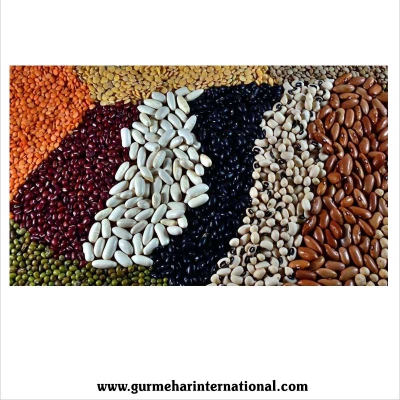 Pulses